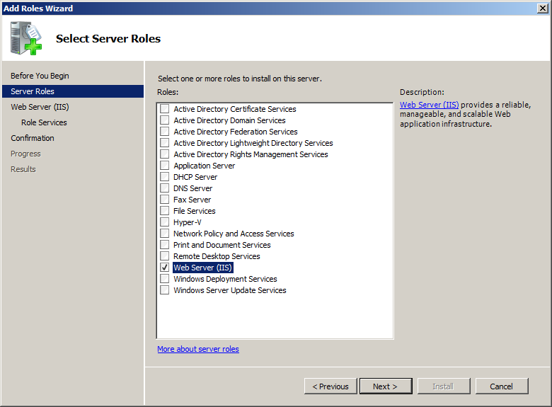 Web Server (IIS) server role selection 
